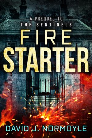 [The Sentinels 0.50] • Fire Starter